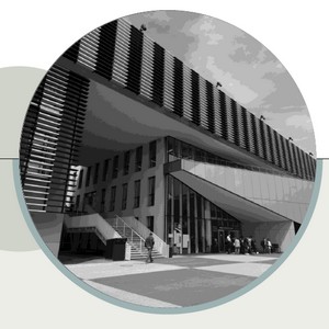 filières stratégiques, enseignement supérieur et parcours des étudiants
