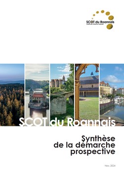 prospectif roannais art